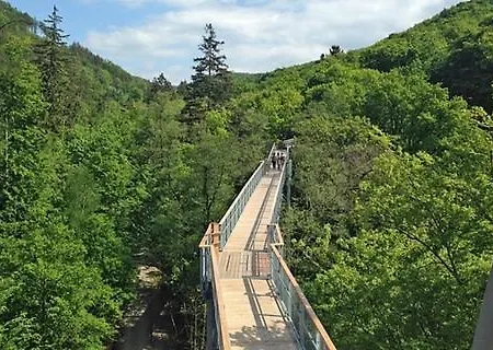 Paula Apartment Bad Harzburg